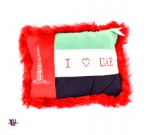 UAE Flag pillow
