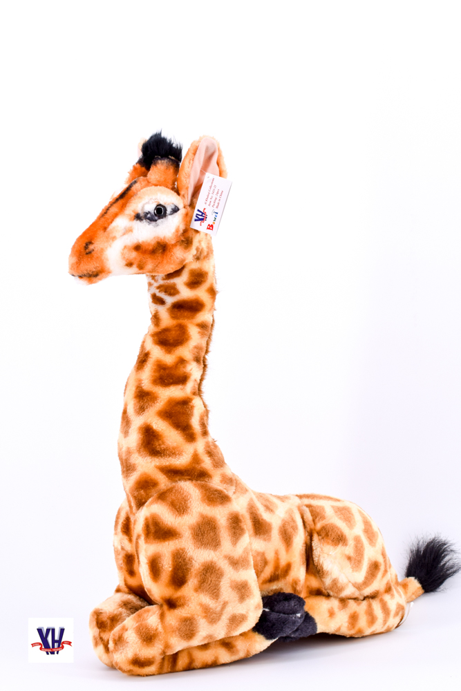 Giraffe 