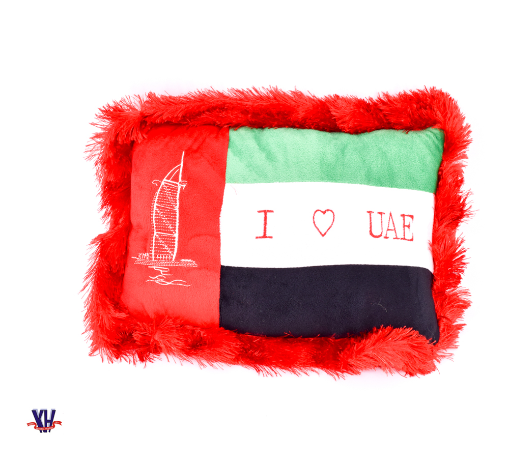UAE Flag pillow