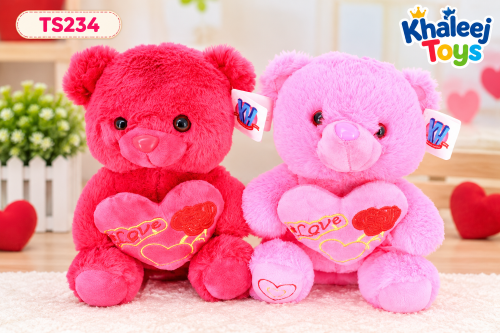 25CM BEAR 2 CLRS  