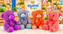 SOFT TOYS