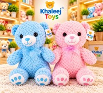 25CM BEAR PINK & BLUE