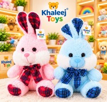 25CM RABBIT PINK & BLUE