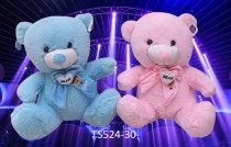 30CM Bear, 2 Colors